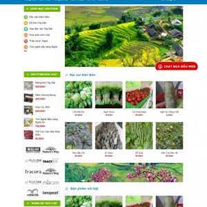 Mẫu bán hàng 055