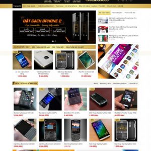 Mẫu bán hàng 080